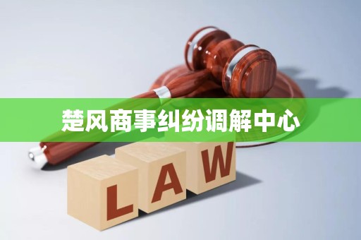 楚風(fēng)商事糾紛調(diào)解中心破產(chǎn)清算服務(wù) 專(zhuān)業(yè)、高效、公正的債務(wù)解決方案